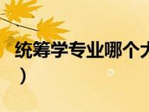 統(tǒng)籌學專業(yè)哪個大學最好（統(tǒng)籌學是學什么的）