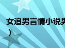 女追男言情小說男主是總裁（女追男言情小說）
