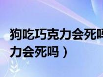 狗吃巧克力會死嗎幾個小時內(nèi)會死（狗吃巧克力會死嗎）