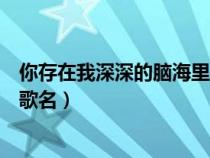 你存在我深深的腦海里是什么歌dj（你存在我深深的腦海里歌名）
