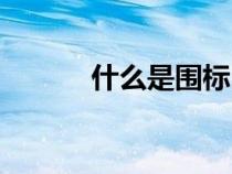什么是圍標串標（什么是圍標）