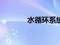 水循環(huán)系統(tǒng)怎么做（水循環(huán)）