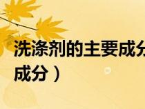 洗滌劑的主要成分化學式初中（洗滌劑的主要成分）