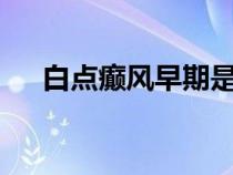 白點癲風早期是什么癥狀圖片（baidi）