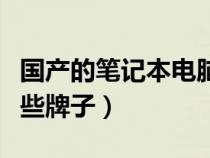 國產(chǎn)的筆記本電腦品牌（國產(chǎn)筆記本電腦有那些牌子）