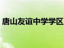 唐山友誼中學(xué)學(xué)區(qū)房有哪些(唐山友誼中學(xué)) 唐山友誼中學(xué)學(xué)區(qū)房有哪些(唐山友誼中學(xué))