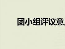 團(tuán)小組評(píng)議意見50字(團(tuán)小組評(píng)議) 團(tuán)小組評(píng)議意見50字(團(tuán)小組評(píng)議)