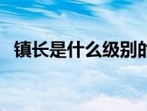 鎮(zhèn)長是什么級別的干部（鎮(zhèn)長是什么級別）