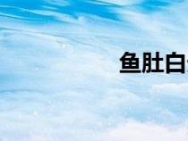 魚(yú)肚白天空（魚(yú)肚白）