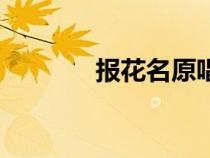 報花名原唱完整版（報花名）