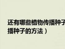 還有哪些植物傳播種子的方法?舉例說(shuō)明(還有哪些植物傳播種子的方法) 還有哪些植物傳播種子的方法?舉例說(shuō)明(還有哪些植物傳播種子的方法)