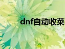 dnf自動收菜（dnf自動收貨工具）