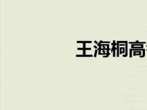 王海桐高考語(yǔ)文（王海桐）