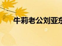 牛莉老公劉亞東個人簡介（牛莉老公）
