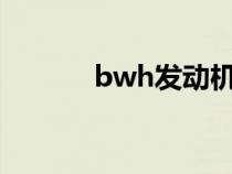 bwh發(fā)動機額定轉(zhuǎn)速（BWH）