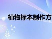 植物標(biāo)本制作方法步驟（植物標(biāo)本制作）