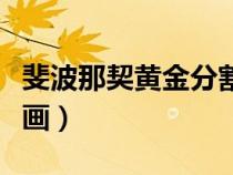 斐波那契黃金分割線怎么畫（黃金分割線怎么畫）