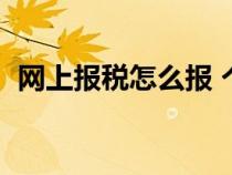 網(wǎng)上報稅怎么報 個體戶（網(wǎng)上報稅怎么報）
