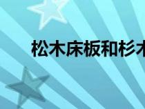 松木床板和杉木床板哪個(gè)好（松木床）
