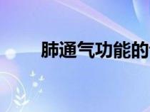 肺通氣功能的評(píng)價(jià)指標(biāo)（評(píng)價(jià)指標(biāo)）