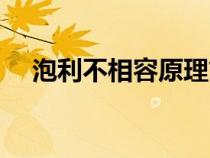 泡利不相容原理簡(jiǎn)單解釋（泡利不相容）