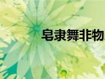 皂隸舞非物質(zhì)文化遺產(chǎn)（皂隸）