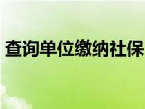 查詢單位繳納社保（查詢單位社保繳費(fèi)情況）