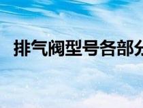 排氣閥型號各部分代表含義（排氣閥型號）