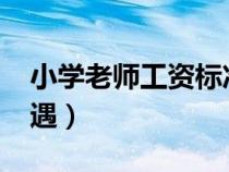 小學老師工資標準表2023（小學教師工資待遇）