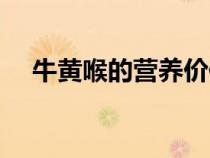 牛黃喉的營養(yǎng)價(jià)值及功效禁忌（牛黃喉）
