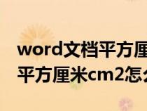 word文檔平方厘米怎么輸入（word和excel平方厘米cm2怎么做出來(lái)）