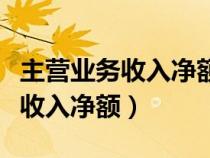 主營業(yè)務(wù)收入凈額和主營業(yè)務(wù)利潤(主營業(yè)務(wù)收入凈額) 主營業(yè)務(wù)收入凈額和主營業(yè)務(wù)利潤(主營業(yè)務(wù)收入凈額)