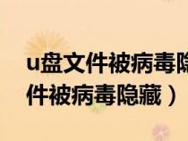 u盤文件被病毒隱藏了怎么顯示出來(lái)（u盤文件被病毒隱藏）