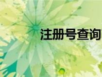 注冊號查詢商標（注冊號查詢）