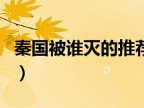 秦國被誰滅的推薦一下電視?。ㄇ貒徽l滅的）
