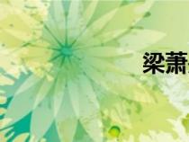 梁蕭是誰(shuí)（梁蕭）