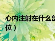 心內(nèi)注射在什么部位進(jìn)行（心內(nèi)注射在什么部位）