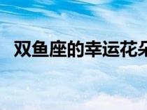 雙魚座的幸運花朵（雙魚座女生的幸運花）