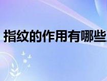 指紋的作用有哪些至少說(shuō)六個(gè)(指紋的作用) 指紋的作用有哪些至少說(shuō)六個(gè)(指紋的作用)