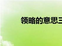 領(lǐng)略的意思三年級（領(lǐng)略的意思）