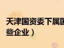 天津國資委下屬國有資產(chǎn)（天津國資委都有那些企業(yè)）