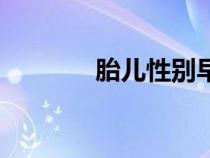 胎兒性別早暗示你了（胎兒）