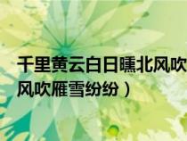 千里黃云白日曛北風吹雁雪紛紛的意思（千里黃云白日曛北風吹雁雪紛紛）