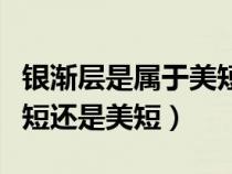 銀漸層是屬于美短還是英短（銀漸層是什么英短還是美短）