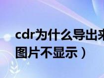cdr為什么導(dǎo)出來(lái)的圖片是空白的(cdr導(dǎo)出圖片不顯示) cdr為什么導(dǎo)出來(lái)的圖片是空白的(cdr導(dǎo)出圖片不顯示)