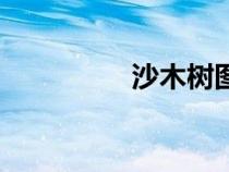 沙木樹圖片大全(沙木) 沙木樹圖片大全(沙木)