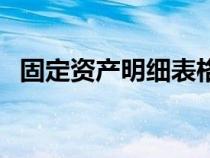 固定資產(chǎn)明細(xì)表格(固定資產(chǎn)明細(xì)賬表樣) 固定資產(chǎn)明細(xì)表格(固定資產(chǎn)明細(xì)賬表樣)