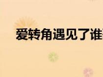 愛轉(zhuǎn)角遇見了誰歌曲（愛轉(zhuǎn)角遇見了誰）