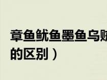 章魚魷魚墨魚烏賊誰厲害（章魚魷魚烏賊墨魚的區(qū)別）