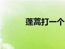 蓬蒿打一個(gè)生肖(蓬蒿共一丘) 蓬蒿打一個(gè)生肖(蓬蒿共一丘)